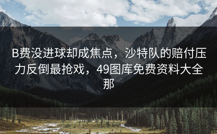B费没进球却成焦点,沙特队的赔付压力反倒最抢戏,49图库免费资料大全那
